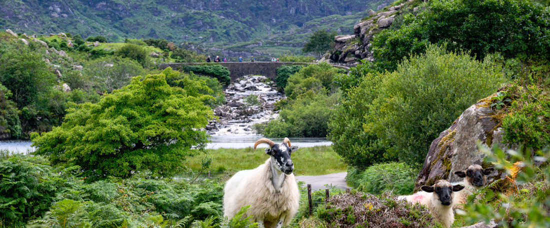 Gap of Dunloe