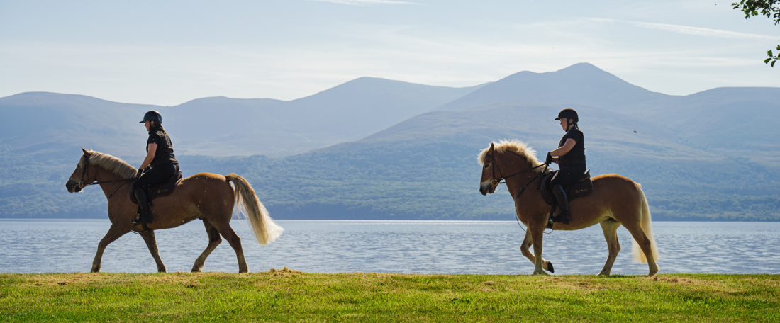 Complimentary Horse Riding