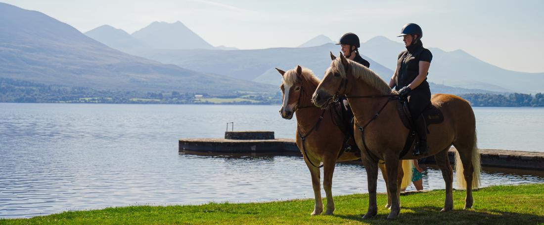 Complimentary Horse Riding