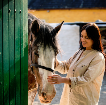 Muckross Traditional Farms