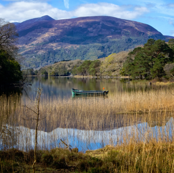 Muckross Lake & Gardens
