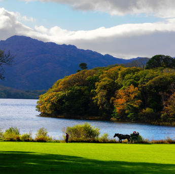 Killarney National Park
