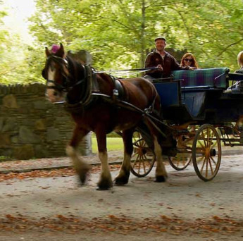 Killarney National Park