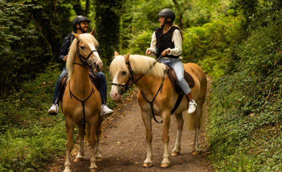 Complimentary Horse Riding